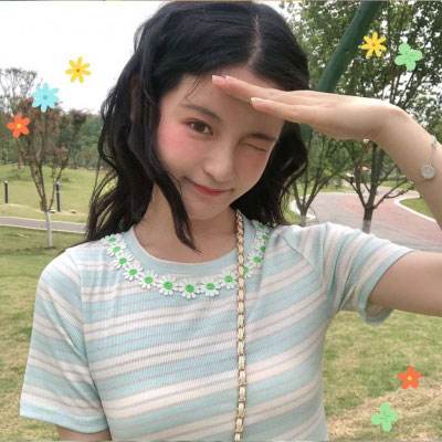 口袋征服手机版下载